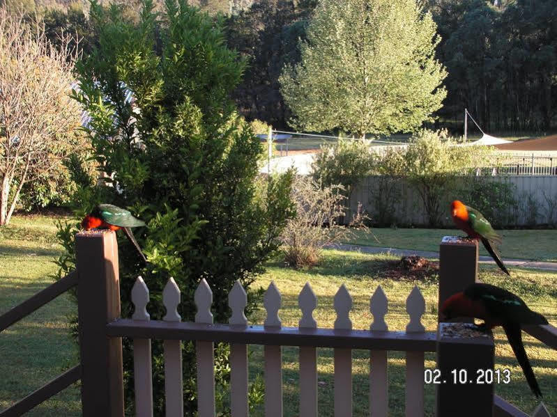 Warrumbungles Mountain Motel Coonabarabran Dış mekan fotoğraf