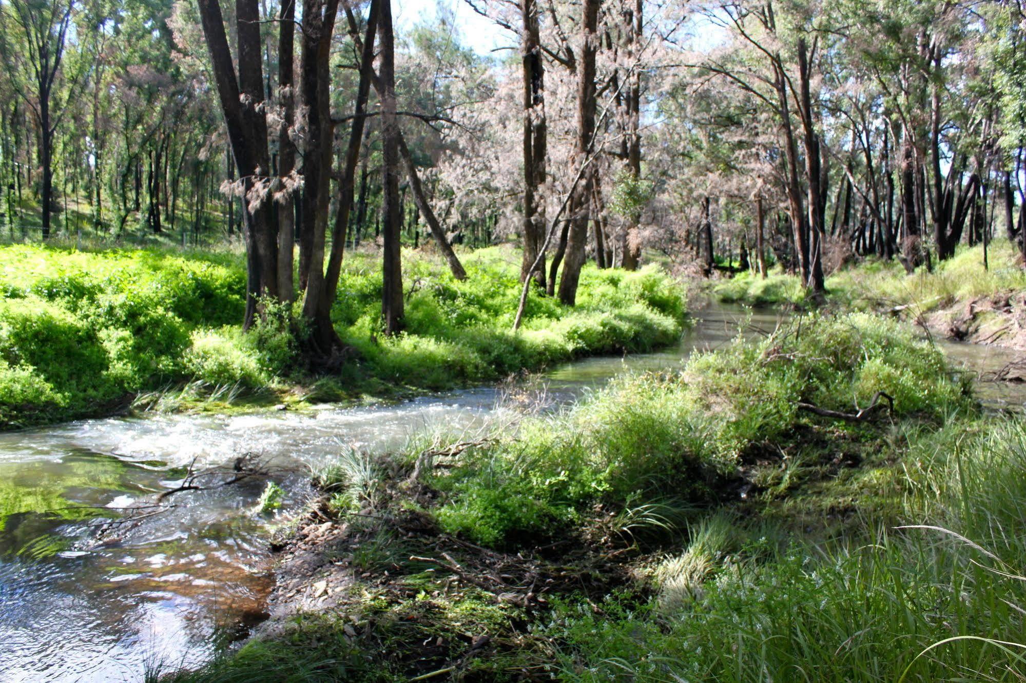 Warrumbungles Mountain Motel Coonabarabran Dış mekan fotoğraf