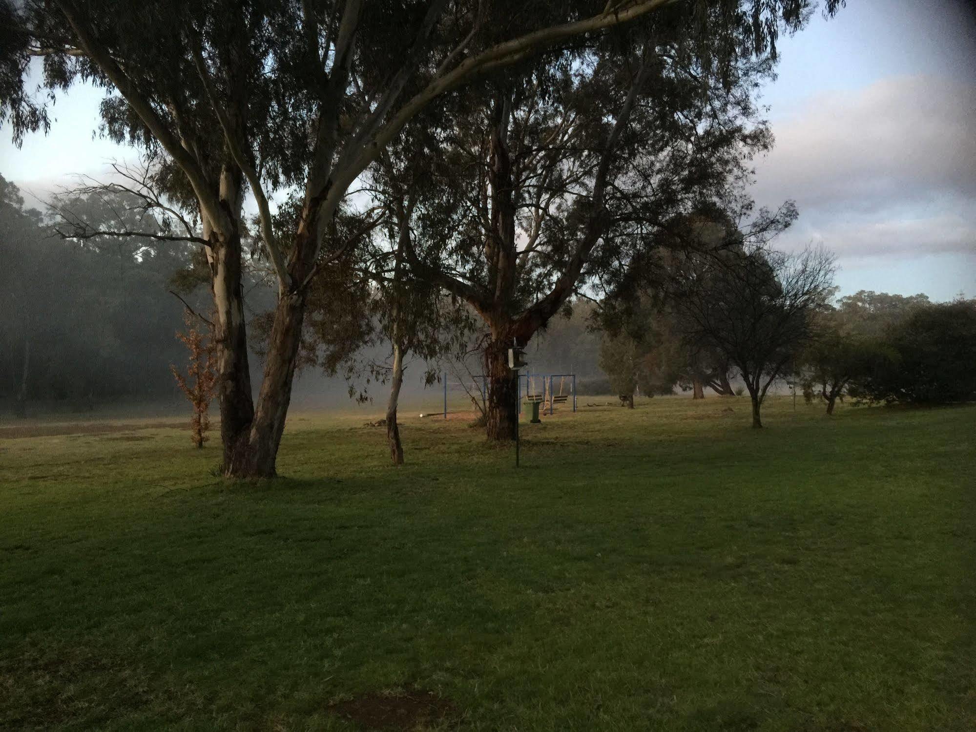 Warrumbungles Mountain Motel Coonabarabran Dış mekan fotoğraf